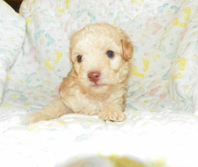 click here to see me grow